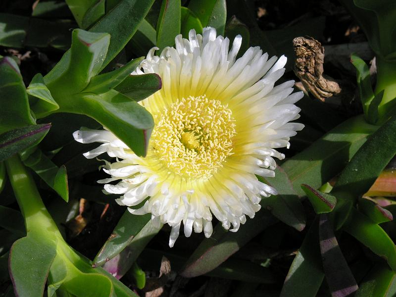 DSCN0657