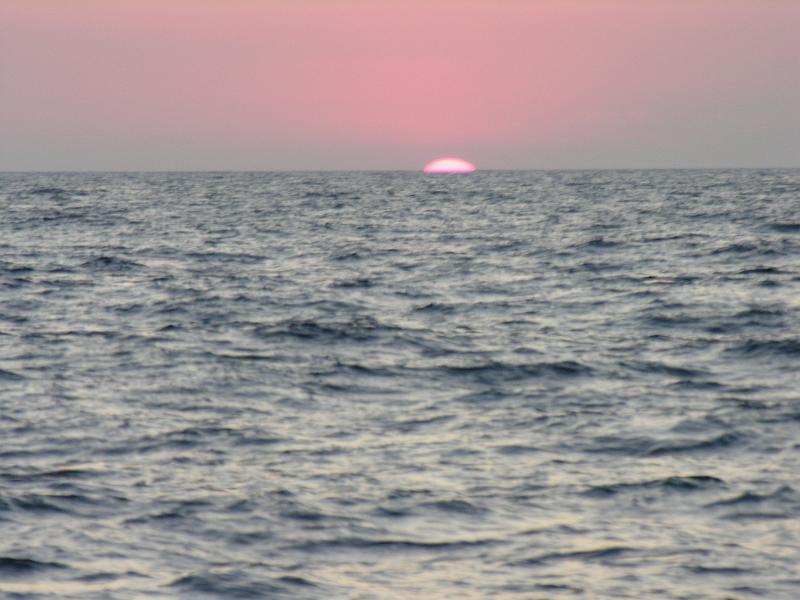 DSCN0949