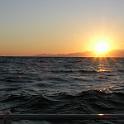 DSCN0710