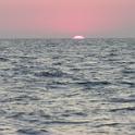 DSCN0949