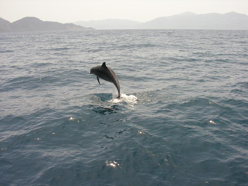 DSCN2744
