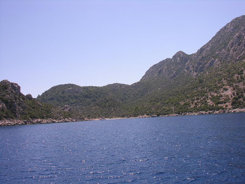 DSCN3006