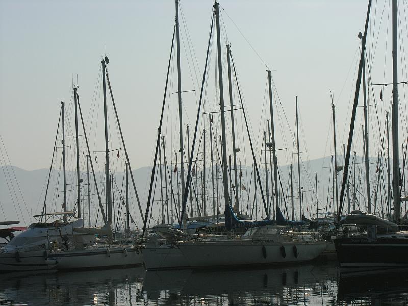 DSCN3101