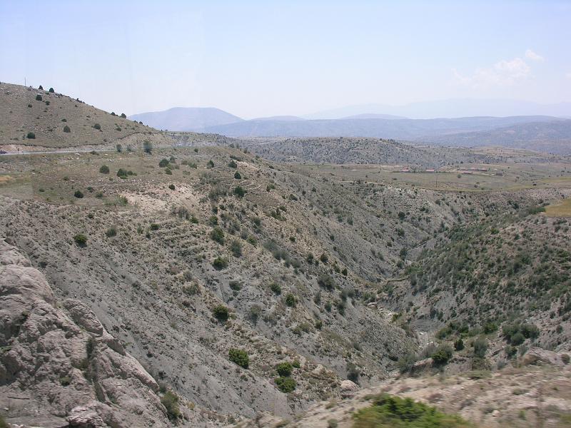 DSCN3113