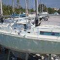 Sailfish005