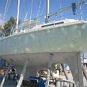 Sailfish006