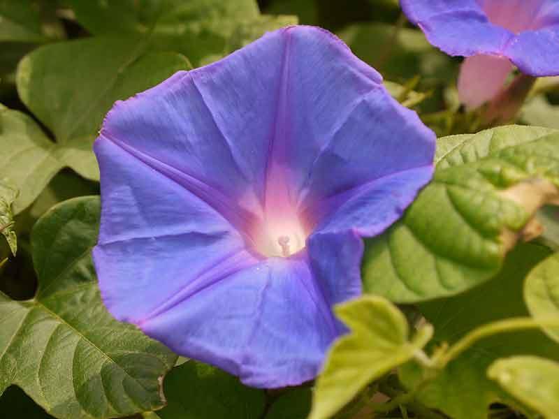 049