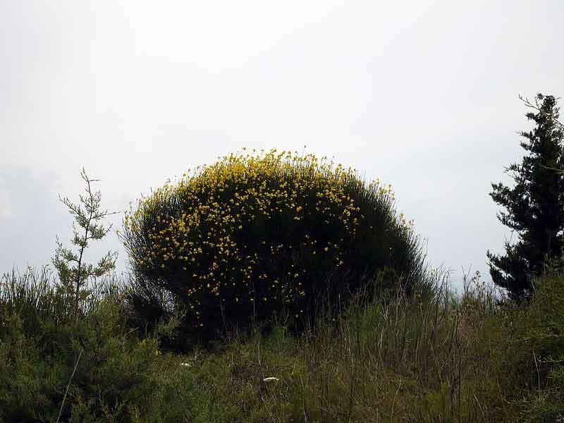 050